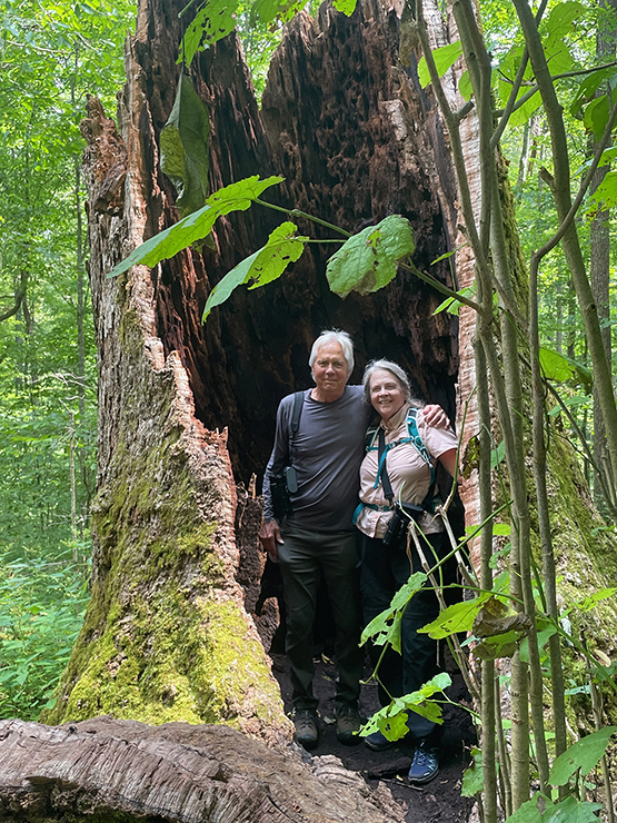 Joyce Kilmer Memorial Forest